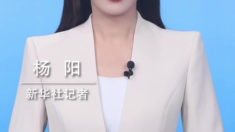 软件定制开发报价解析：揭秘价格背后的逻辑